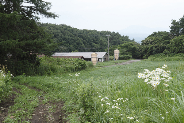 トキワ養鶏